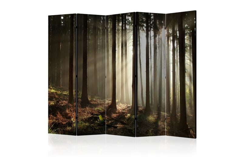 RUMSAVDELARE Coniferous Forest II 225x172 cm - Artgeist sp. z o. o. - Rumsavdelare