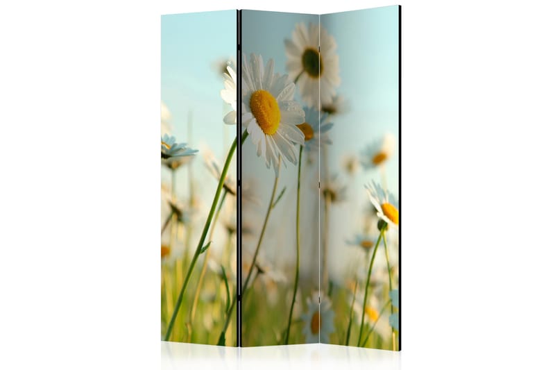 RUMSAVDELARE Daisies - Spring Meadow 135x172 cm - Artgeist sp. z o. o. - Inredning & dekor - Dekor & inredningsdetaljer - Rumsavdelare