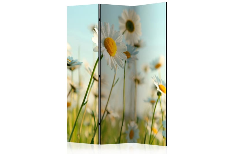 RUMSAVDELARE Daisies - Spring Meadow 135x172 cm - Artgeist sp. z o. o. - Rumsavdelare