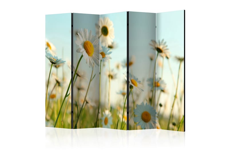 RUMSAVDELARE Daisies - Spring Meadow II 225x172 cm - Artgeist sp. z o. o. - Inredning & dekor - Dekor & inredningsdetaljer - Rumsavdelare