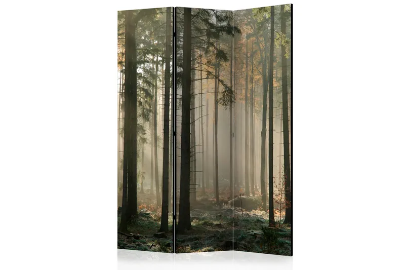 Rumsavdelare Foggy November Morning 135x172 cm - Artgeist sp. z o. o. - Inredning & dekor - Dekor & inredningsdetaljer - Rumsavdelare