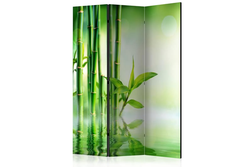 RUMSAVDELARE Green Bamboo 135x172 - Artgeist sp. z o. o. - Rumsavdelare