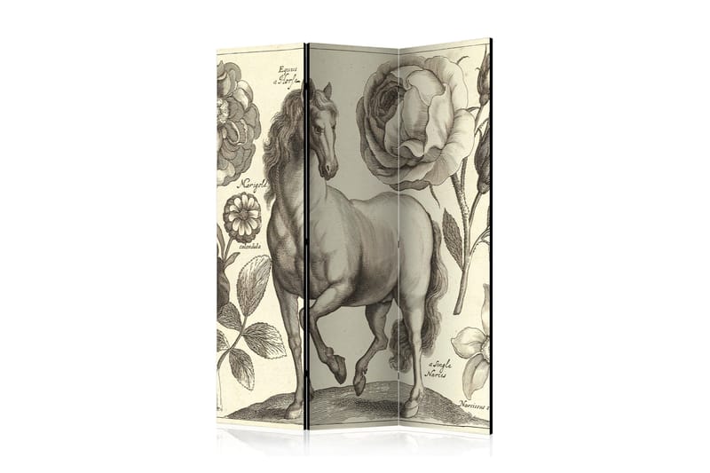 RUMSAVDELARE Horse 135x172 - Artgeist sp. z o. o. - Inredning & dekor - Dekor & inredningsdetaljer - Rumsavdelare