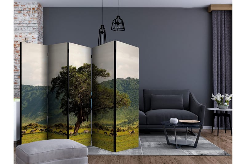 Rumsavdelare - In a crater of Ngoro ngoro II 225x172 - Artgeist sp. z o. o. - Inredning & dekor - Dekor & inredningsdetaljer - Rumsavdelare