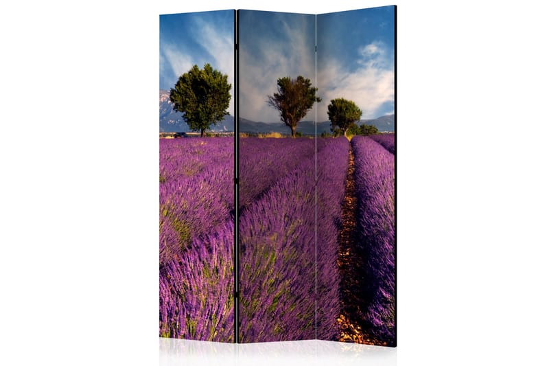 RUMSAVDELARE Lavender Field in Provence, France 135x172 cm - Artgeist sp. z o. o. - Rumsavdelare
