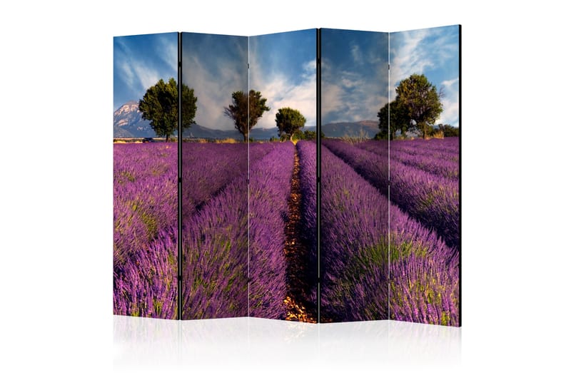 RUMSAVDELARE Lavender Field in Provence 225x172 cm - Artgeist sp. z o. o. - Rumsavdelare