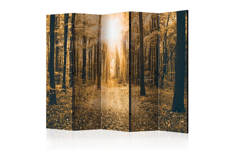 Rumsavdelare - Magical Light II 225x172, Artgeist sp. z o. o.