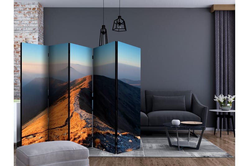 Rumsavdelare - Mountain footpath, Tatras II 225x172 - Artgeist sp. z o. o. - Inredning & dekor - Dekor & inredningsdetaljer - Rumsavdelare