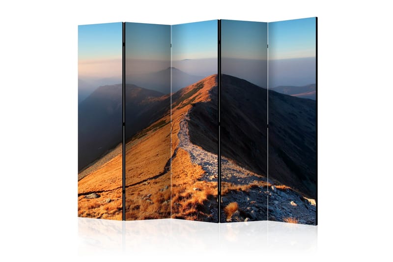 Rumsavdelare - Mountain footpath, Tatras II 225x172, Artgeist sp. z o. o.