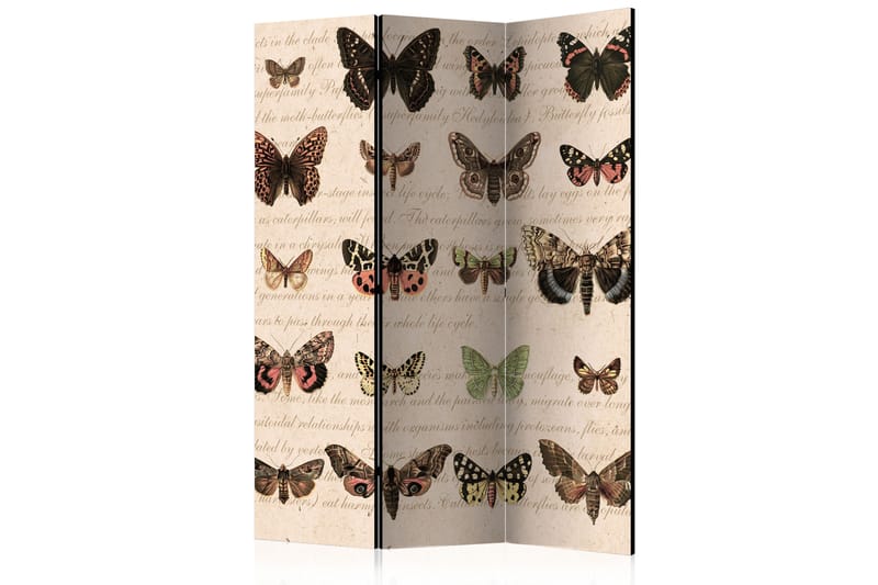 RUMSAVDELARE Retro Style Butterflies 135x172 - Artgeist sp. z o. o. - Rumsavdelare