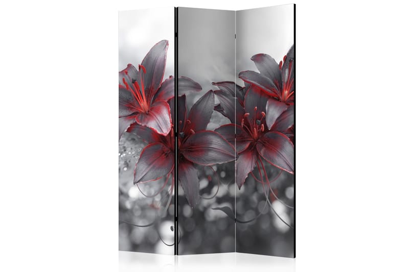 Rumsavdelare Shadow Of Passion 135x172, Artgeist sp. z o. o.