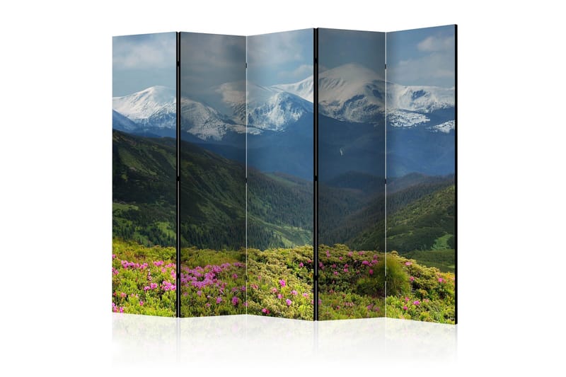 Rumsavdelare - Spring mountain landscape II 225x172, Artgeist sp. z o. o.