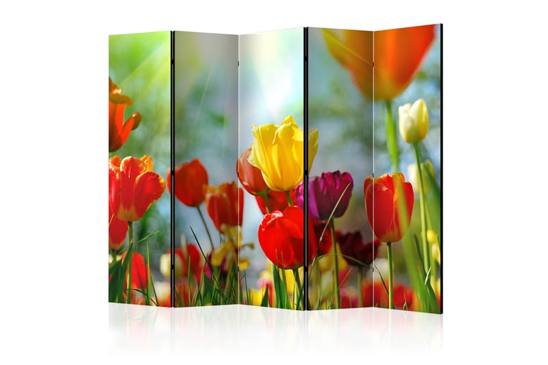 Rumsavdelare Spring Tulips II 225x172 cm - Artgeist sp. z o. o. - Inredning & dekor - Dekor & inredningsdetaljer - Rumsavdelare