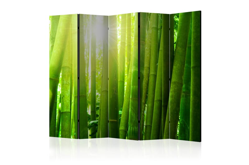 RUMSAVDELARE Sun and Bamboo II 225x172 cm - Artgeist sp. z o. o. - Rumsavdelare