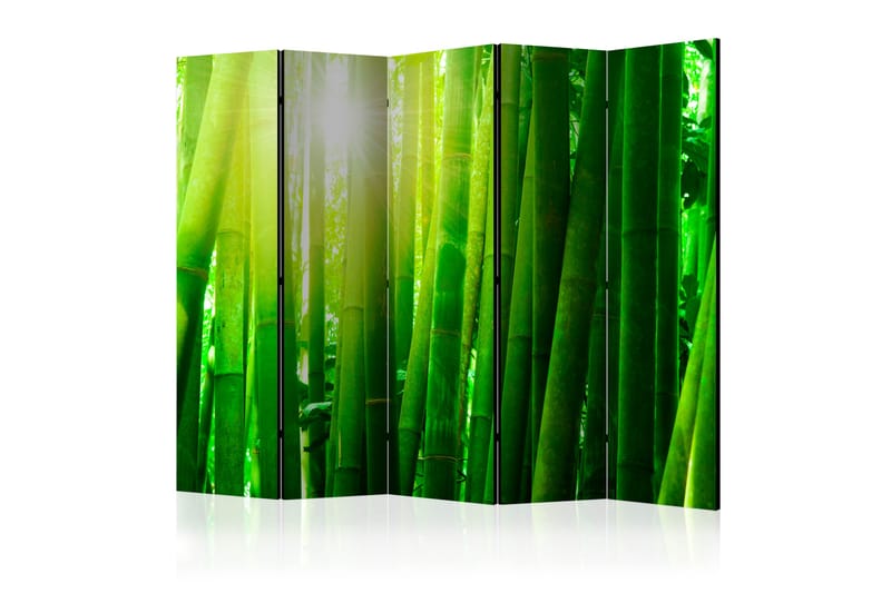 RUMSAVDELARE Sun and Bamboo II 225x172 cm - Artgeist sp. z o. o. - Rumsavdelare