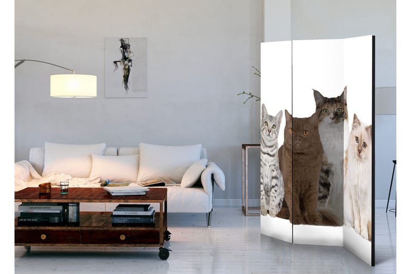 Rumsavdelare Sweet Cats 135x172 - Artgeist sp. z o. o. - Inredning & dekor - Dekor & inredningsdetaljer - Rumsavdelare