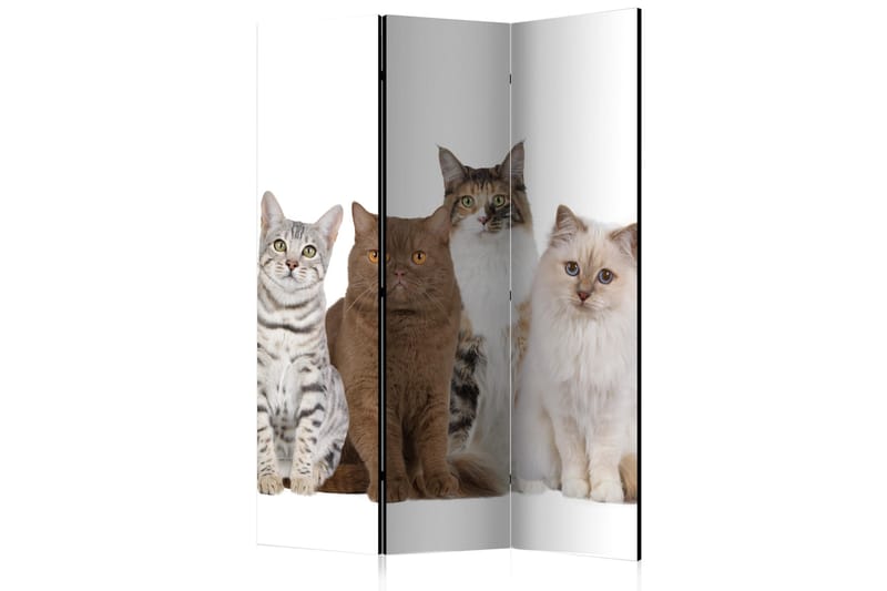 RUMSAVDELARE Sweet Cats 135x172 - Artgeist sp. z o. o. - Inredning & dekor - Dekor & inredningsdetaljer - Rumsavdelare