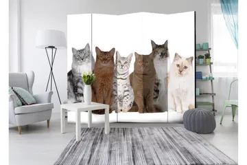 Rumsavdelare Sweet Cats 225x172 - Artgeist sp. z o. o. - Inredning & dekor - Dekor & inredningsdetaljer - Rumsavdelare
