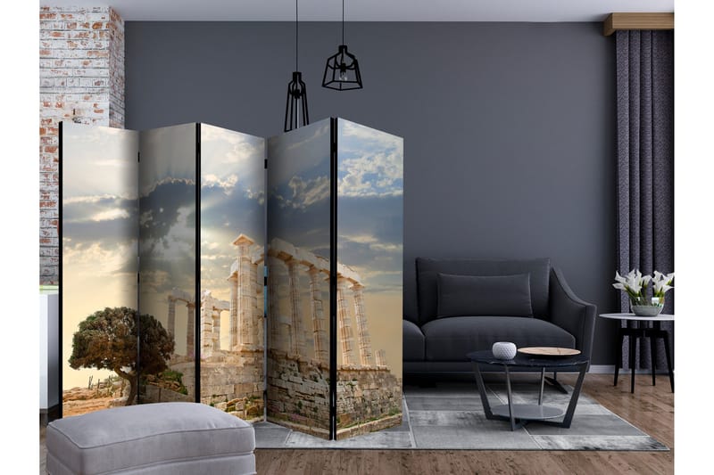 Rumsavdelare - The Acropolis, Greece II 225x172 - Artgeist sp. z o. o. - Inredning & dekor - Dekor & inredningsdetaljer - Rumsavdelare