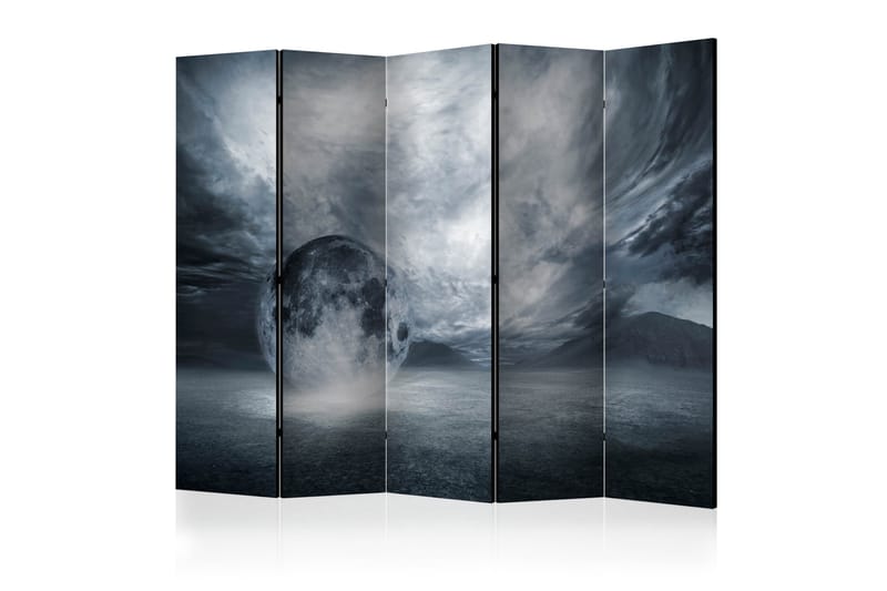 RUMSAVDELARE The Lost Planet II 225x172 cm - Artgeist sp. z o. o. - Inredning & dekor - Dekor & inredningsdetaljer - Rumsavdelare