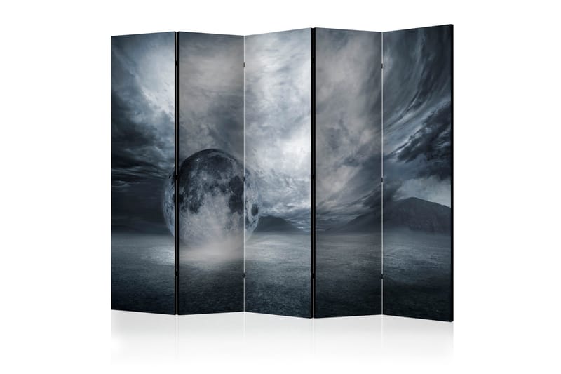 Rumsavdelare The Lost Planet II 225x172 cm, Artgeist sp. z o. o.