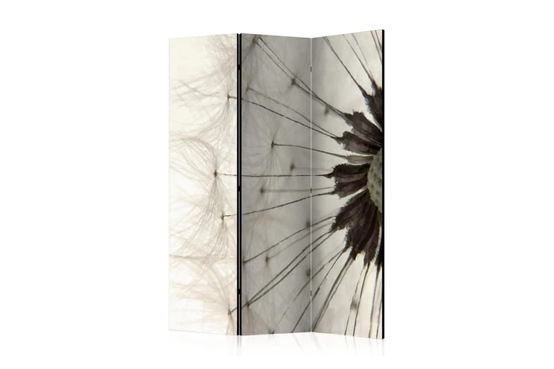 RUMSAVDELARE White Dandelion 135x172 - Artgeist sp. z o. o. - Rumsavdelare