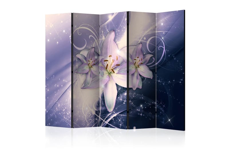 Rumsavdelare - Wintry Galaxy II 225x172, Artgeist sp. z o. o.