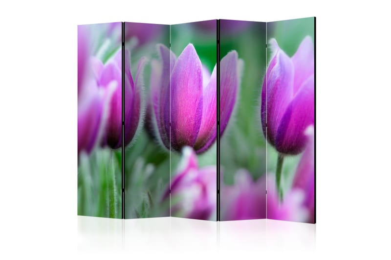 RUMSAVDELARE Purple Spring Tulips II 225x172 cm - Artgeist sp. z o. o. - Rumsavdelare