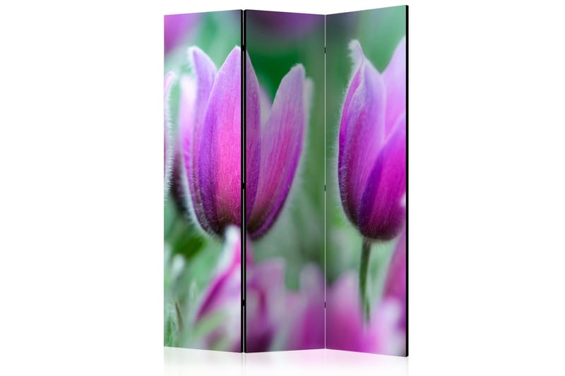 RUMSAVDELARE Purple Spring Tulips 135x172 cm - Artgeist sp. z o. o. - Inredning & dekor - Dekor & inredningsdetaljer - Rumsavdelare