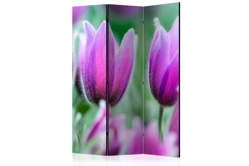 RUMSAVDELARE Purple Spring Tulips 135x172 cm - Artgeist sp. z o. o. - Rumsavdelare