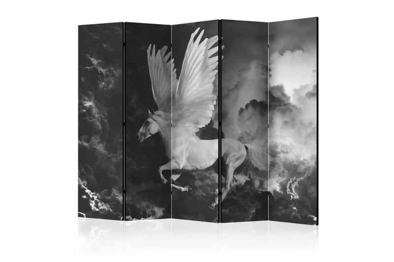 Rumsavdelare - Pegasus on the way225x172, Artgeist sp. z o. o.