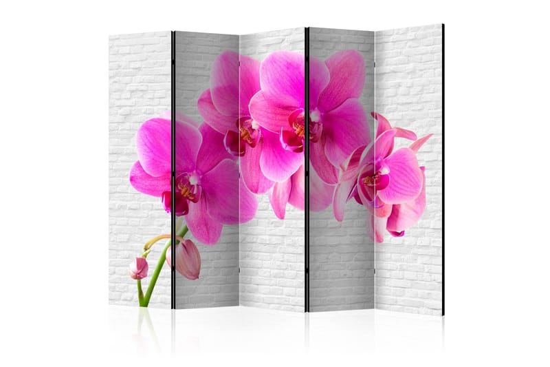 Rumsavdelare - Pink excitation II 225x172, Artgeist sp. z o. o.