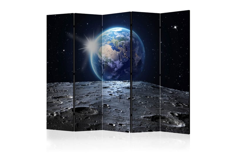 VIEW OF THE BLUE PLANET Rumsavdelare 225x172 cm, Artgeist sp. z o. o.