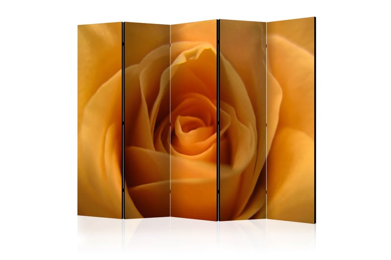 YELLOW ROSE – FRIENDSHIP Rumsavdelare 225x172 cm - Artgeist sp. z o. o. - Rumsavdelare