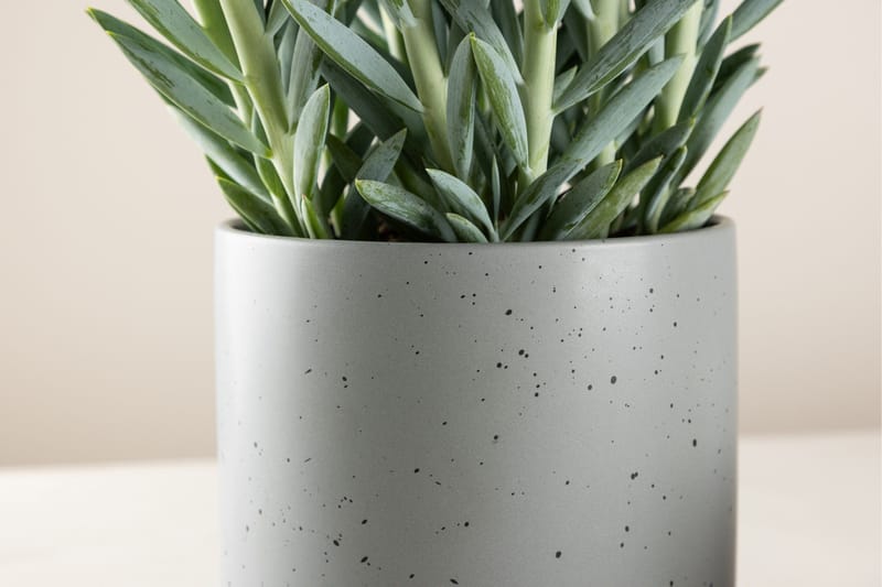 Sane Kruka - Mörkgrå - Inredning & dekor - Dekor & inredningsdetaljer - Kruka & ytterkruka