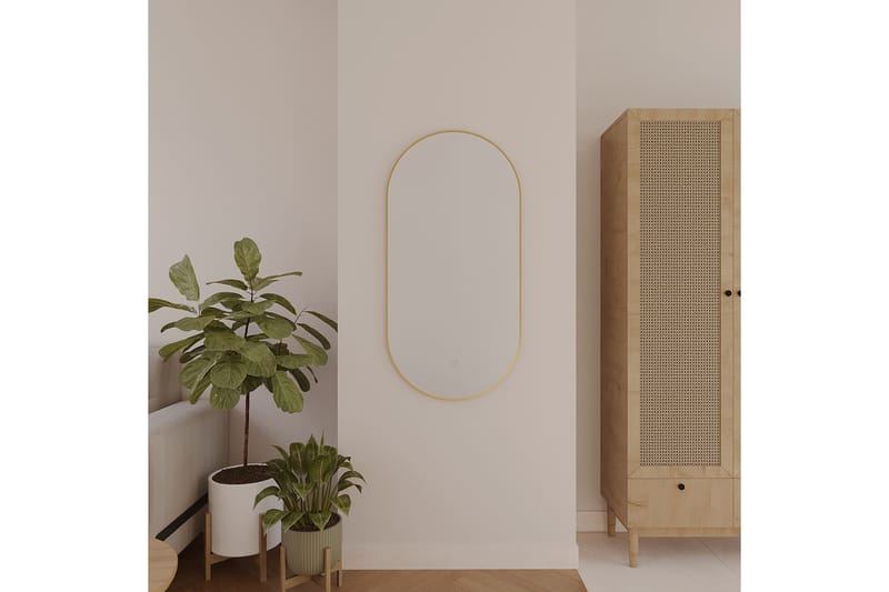 Micedi Vägghängd Spegel 50x100 cm Guld - Inredning & dekor - Speglar - Väggspegel