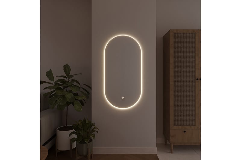 Micedi Vägghängd Spegel 50x100 cm Guld - Inredning & dekor - Speglar - Väggspegel