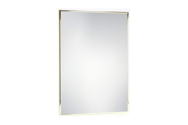 SLIM Spegel 40x80 cm Aluminium Guld - Väggspegel