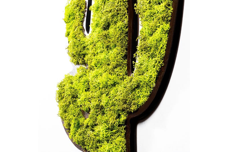 Cactus Canvastavla - Grön/Vit - Inredning & dekor - Tavlor & konst - Canvastavla