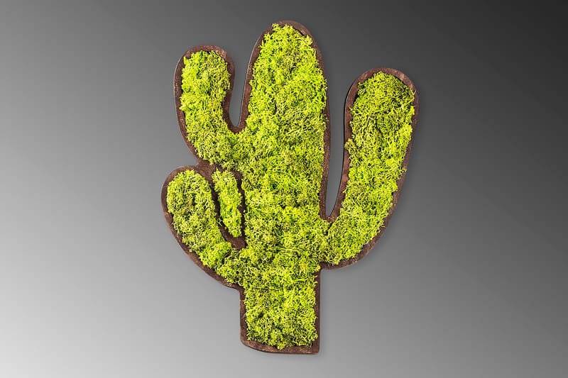 CACTUS Canvastavla Grön/Vit - Inredning & dekor - Tavlor & konst - Canvastavla