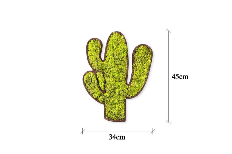 CACTUS Canvastavla Grön/Vit - Inredning & dekor - Tavlor & konst - Canvastavla