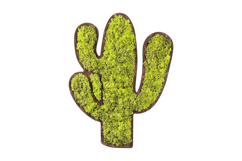 CACTUS Canvastavla Grön/Vit - Inredning & dekor - Tavlor & konst - Canvastavla