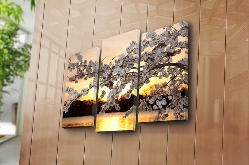 Canvastavla 3-pack Flerfärgad - 20x39 cm - Inredning & dekor - Tavlor & konst - Canvastavla