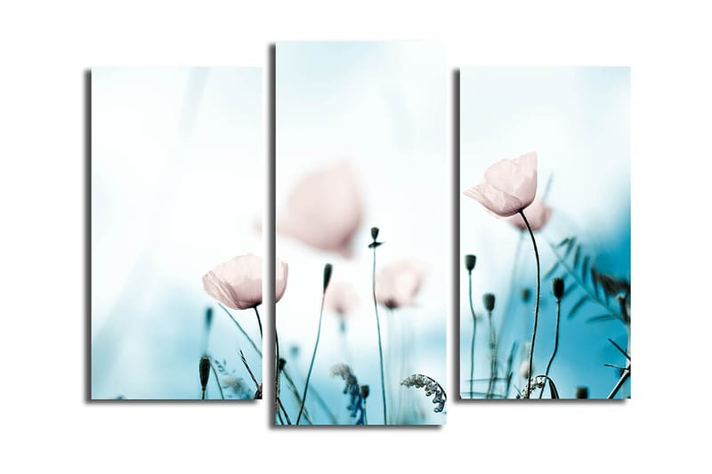 CANVASTAVLA 3-pack Flerfärgad 20x39 cm - Inredning & dekor - Tavlor & konst - Canvastavla