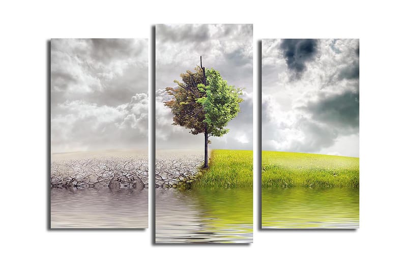 CANVASTAVLA 3-pack Flerfärgad 20x39 cm - Inredning & dekor - Tavlor & konst - Canvastavla