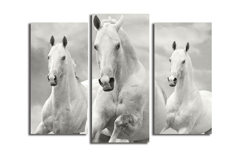 CANVASTAVLA 3-pack Flerfärgad 20x39 cm - Inredning & dekor - Tavlor & konst - Canvastavla