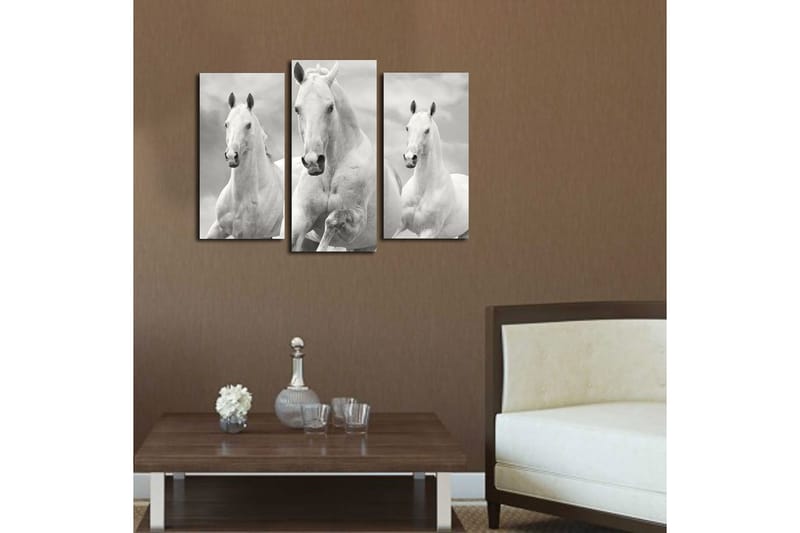 CANVASTAVLA 3-pack Flerfärgad 20x39 cm - Inredning & dekor - Tavlor & konst - Canvastavla