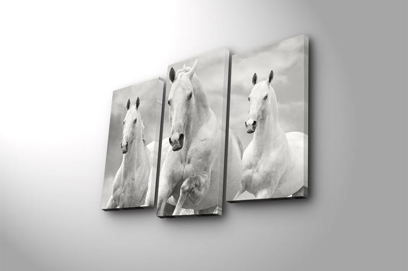 CANVASTAVLA 3-pack Flerfärgad 20x39 cm - Inredning & dekor - Tavlor & konst - Canvastavla