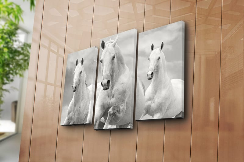 CANVASTAVLA 3-pack Flerfärgad 20x39 cm - Inredning & dekor - Tavlor & konst - Canvastavla