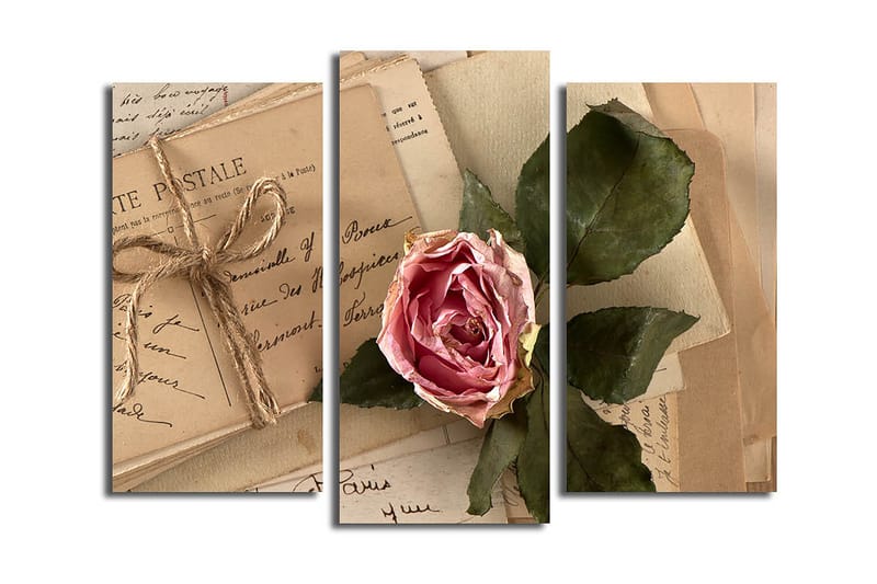 CANVASTAVLA 3-pack Flerfärgad 20x39 cm - Inredning & dekor - Tavlor & konst - Canvastavla